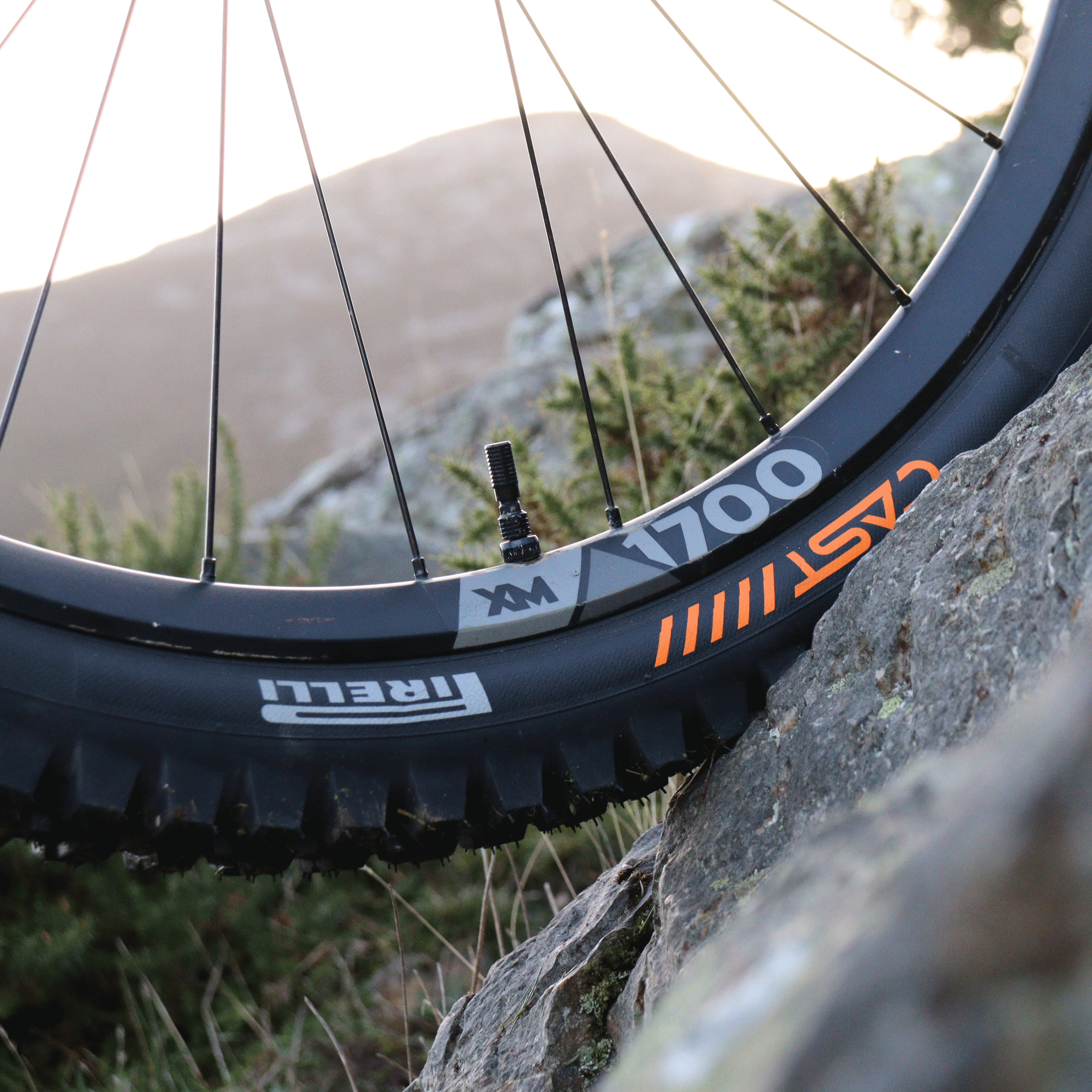 Protagonist - Gravity Tire